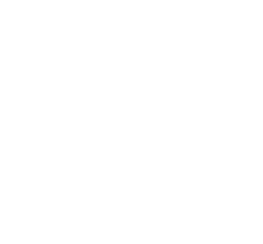 Trafyx